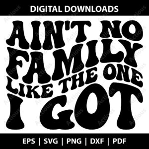Aint No Family Like the One I Got Svg, Family Quote Svg, retro typography svg