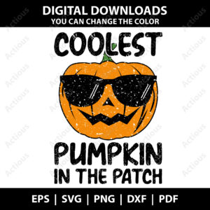 Coolest Pumpkin in the patch Svg, Thanksgiving Svg, digital download design